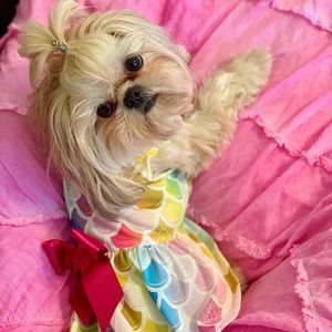 Small dog mermaid dress